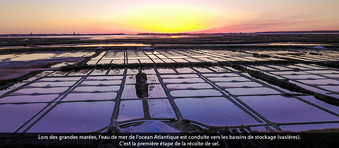 salins - guerande - 1
