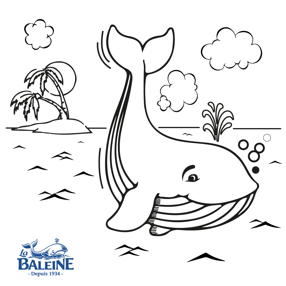 coloriage baleine ocean coloriage baleine ocean