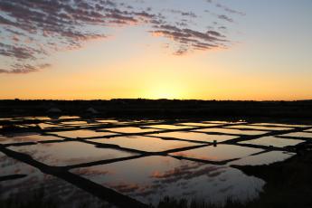 environnement-salins environnement-salins