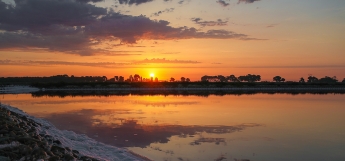 vignette-camargue vignette-camargue