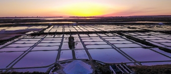 Le fonctionnement d'un Marais salant à Guérande Le fonctionnement d'un Marais salant à Guérande