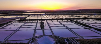 Le fonctionnement d'un Marais salant à Guérande