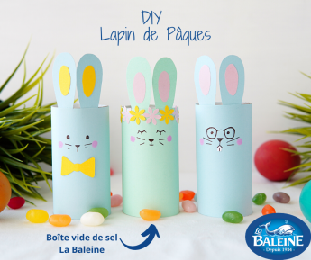 lapins lapins
