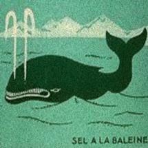 logo-baleine-1934