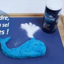 La pâte à sel & autres créations en vidéo