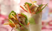 Spring Chicken rolls